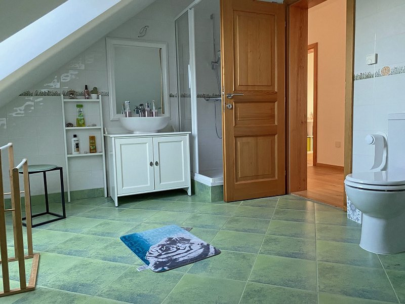 Attic bathroom