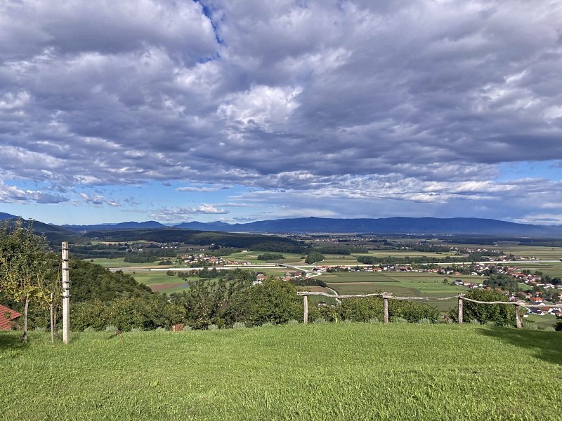 Open view