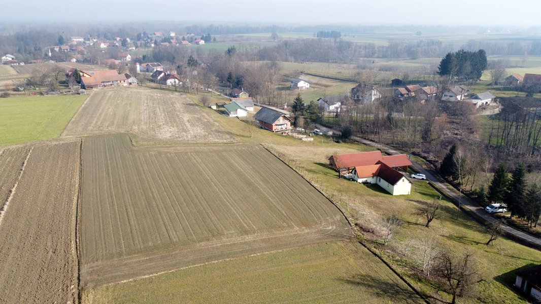 The area of the property