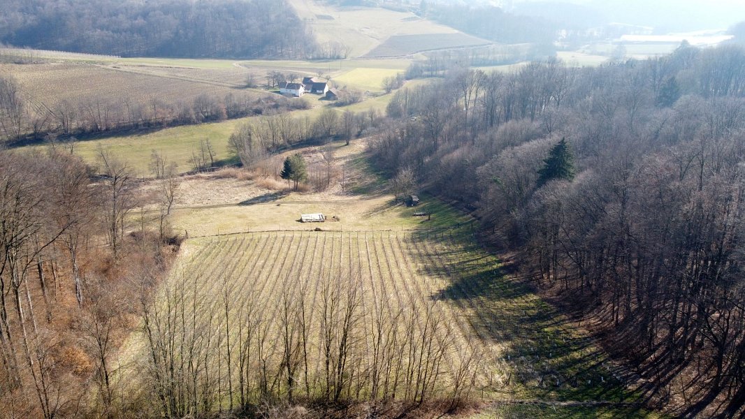 Area