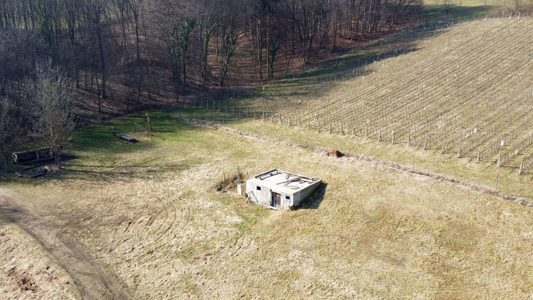 A small wine cellar on the building plot