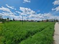 Building plot